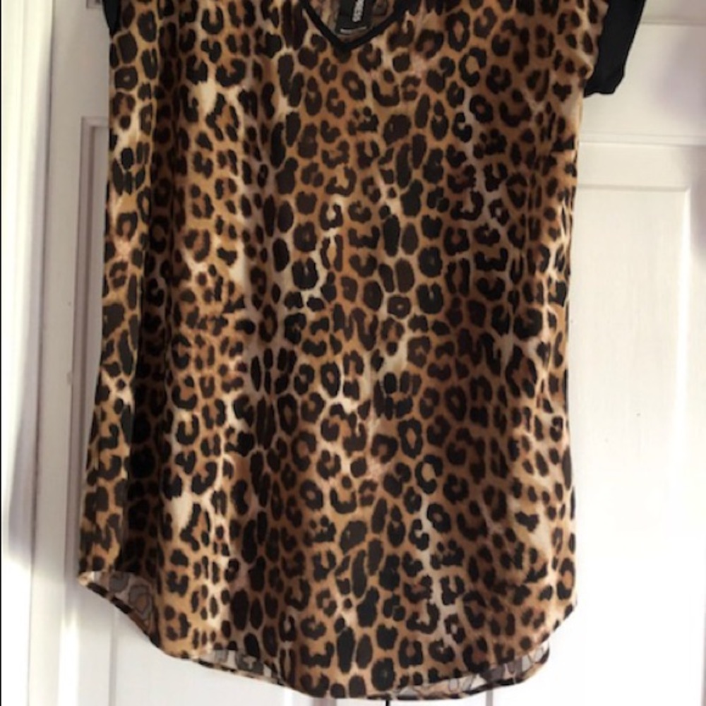 Express top - Picture 2 of 2